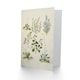 image 2 of Sarah Featon Art Card Native New Zealand Wildflowers Illustration