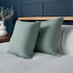image 1 of BHS Twin Pack of Cushions, Green