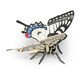 image 9 of PAPO Wild Animal Kingdom Swallowtail Butterfly Toy Figure