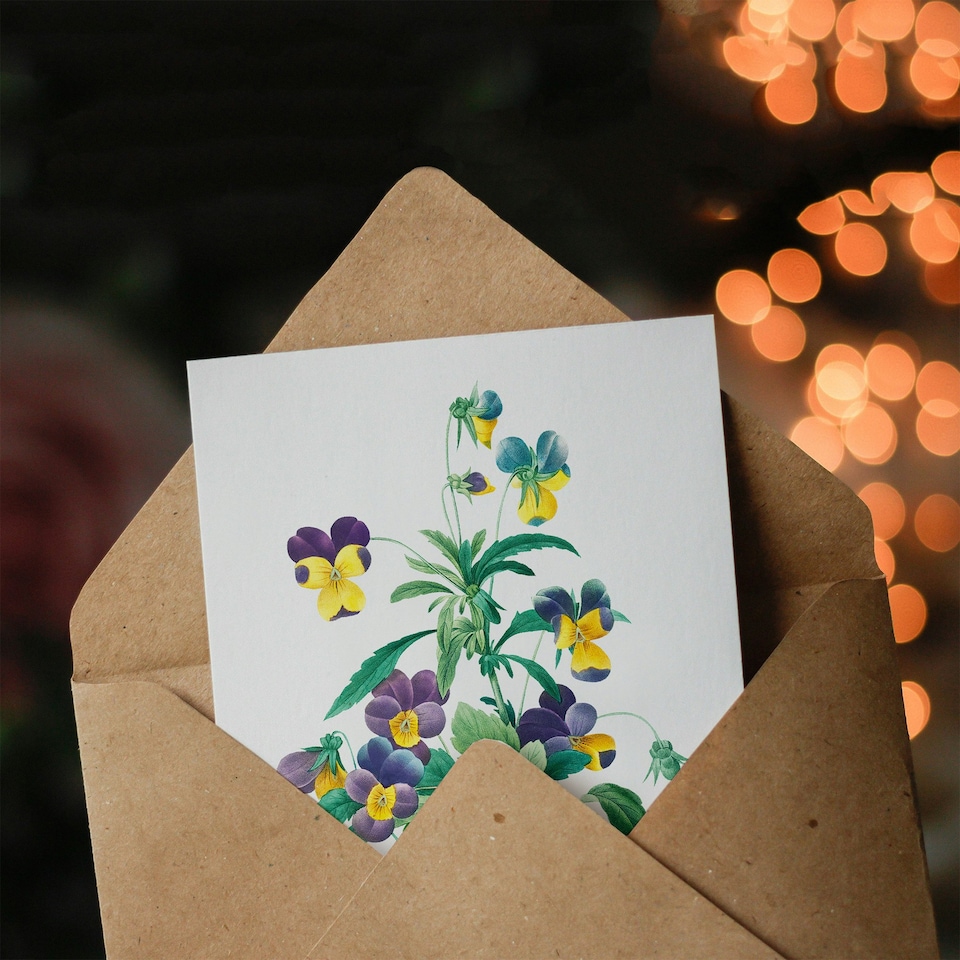 image 1 of Pierre-Joseph Redouté Art Card Vintage Wild Pansy Flower Illustration