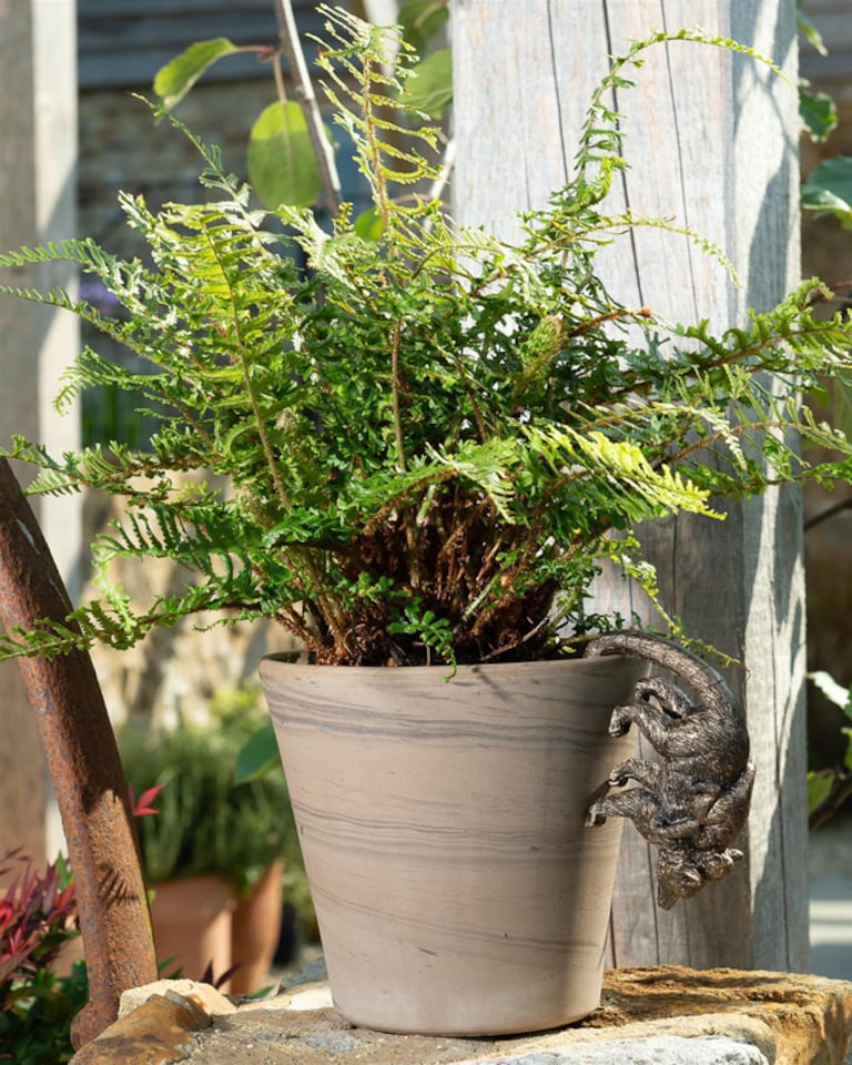 image 1 of Lemur and Pup Plant Pot Hanger | Bronze