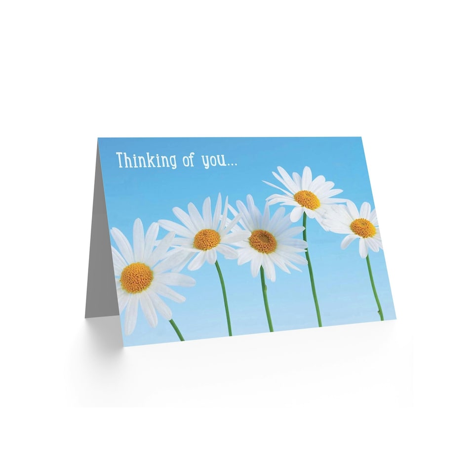 image 1 of Thinking You Daisy Flower Nature Thinking Of You Card