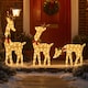 image 3 of Neo Set of 3 LED Lighted Reindeer Christmas Decorations Indoor Outdoor Holiday Yard Décor 210 Dual LED Lights Timer Weather Resistant Frame Festive Red Bows & Greenery