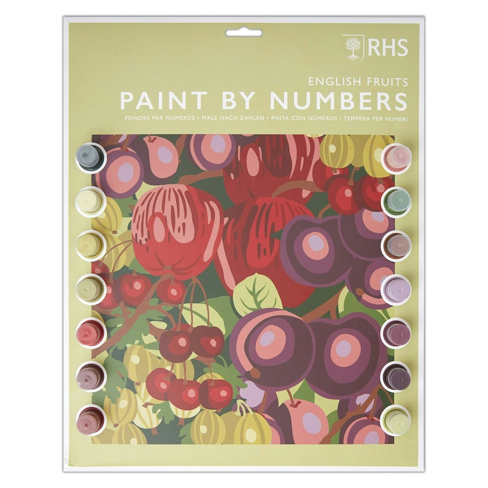 image 1 of RHS Paint by Numbers Kit, English Fruits, Multicoloured, 295 x 395mm