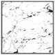image 4 of Thin black marble (Picture Frame) White | M