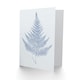 image 2 of Cobalt Blue on White Fern Eppusum Botanical Greeting Art Card