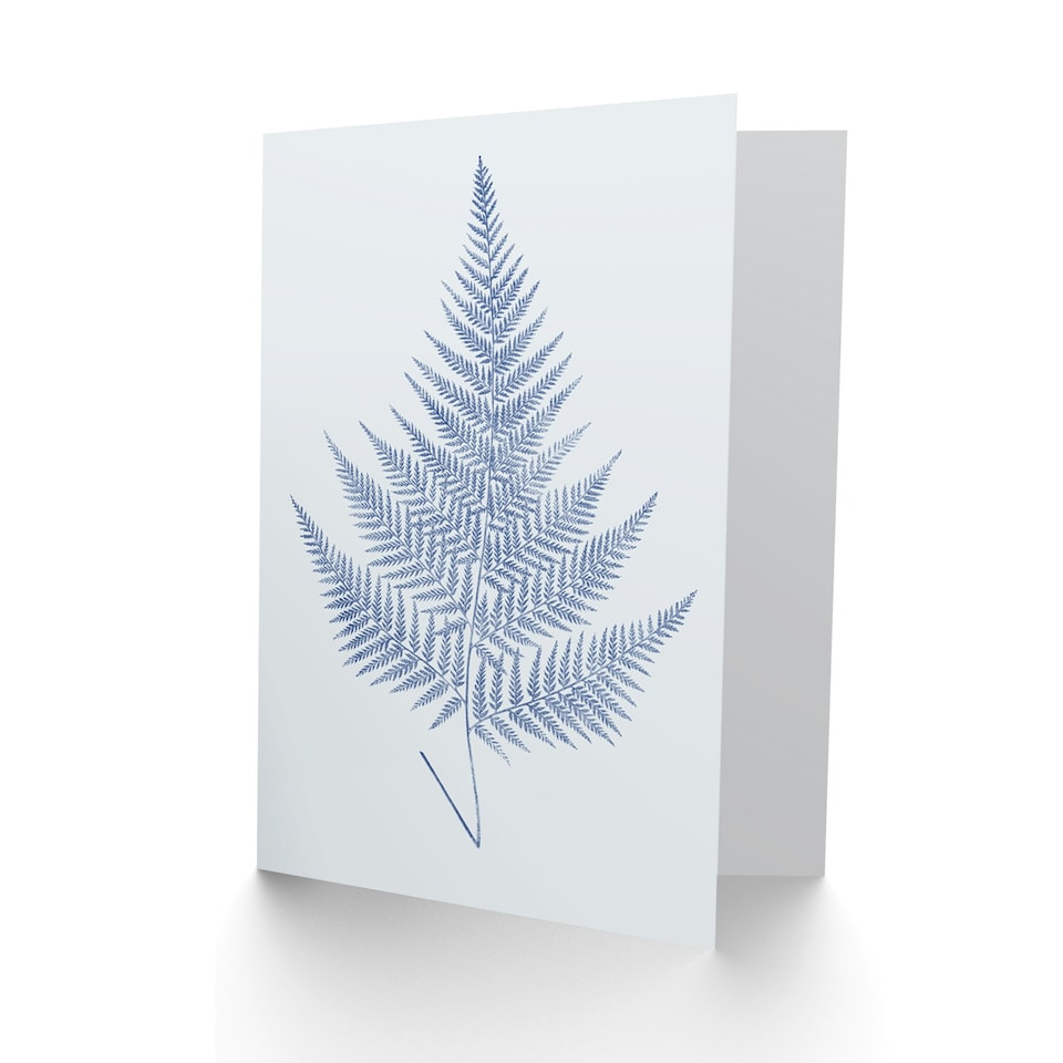 image 1 of Cobalt Blue on White Fern Eppusum Botanical Greeting Art Card