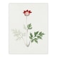 image 1 of Red Bloom Flower Vintage Japan Wall Art Print Japanese Botanical 12x16"