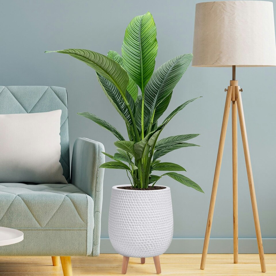 image 1 of Honeycomb Style White Planter with Legs, Round Indoor Plant Pot Stand for Indoor Plants by Idealist Lite D30 H43 cm, 19L