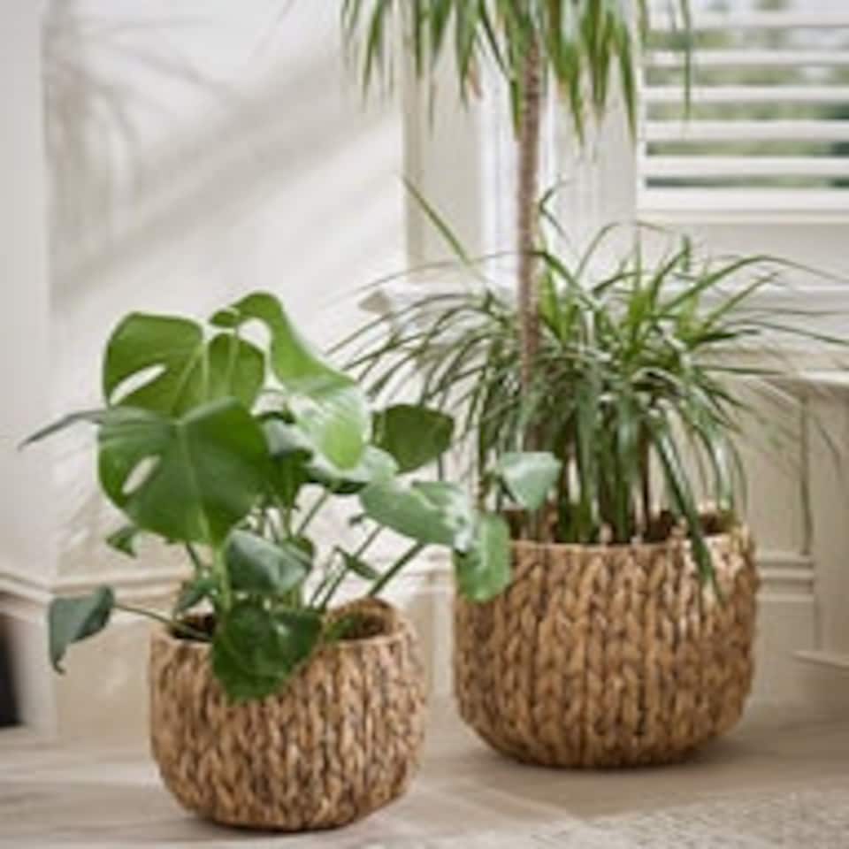 image 1 of Set of 2 Water Hyacinth Basket Planters N/A