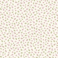 Sample of Apple Blossom Wallpaper in Cream | Cream | Cream