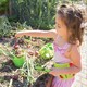 image 7 of Bigjigs Toys Childrens' Gardening Starter Pack, With Green Bucket And Watering Can