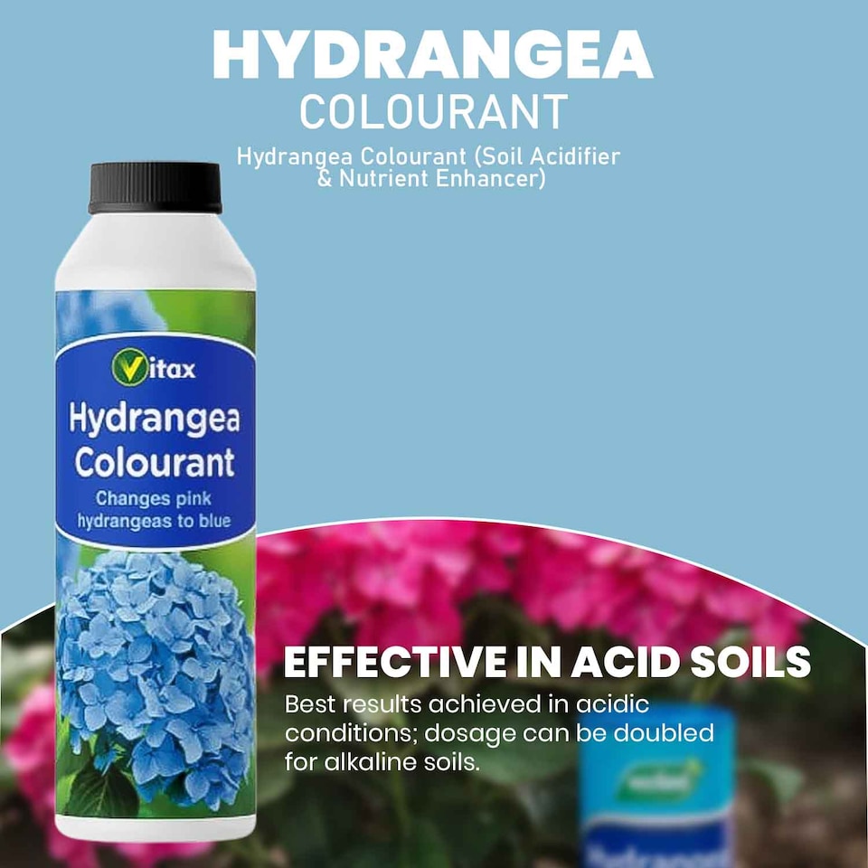 image 1 of Vitax Hydrangea Colourant 250g Turns Pink Flowers Blue & Mauve Enhances Blooms and Plant Health