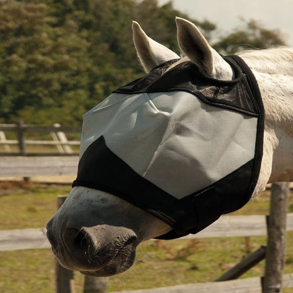 Rhinegold Fly Mask Without Ears N/A | Size: Full
Colour: One Colour