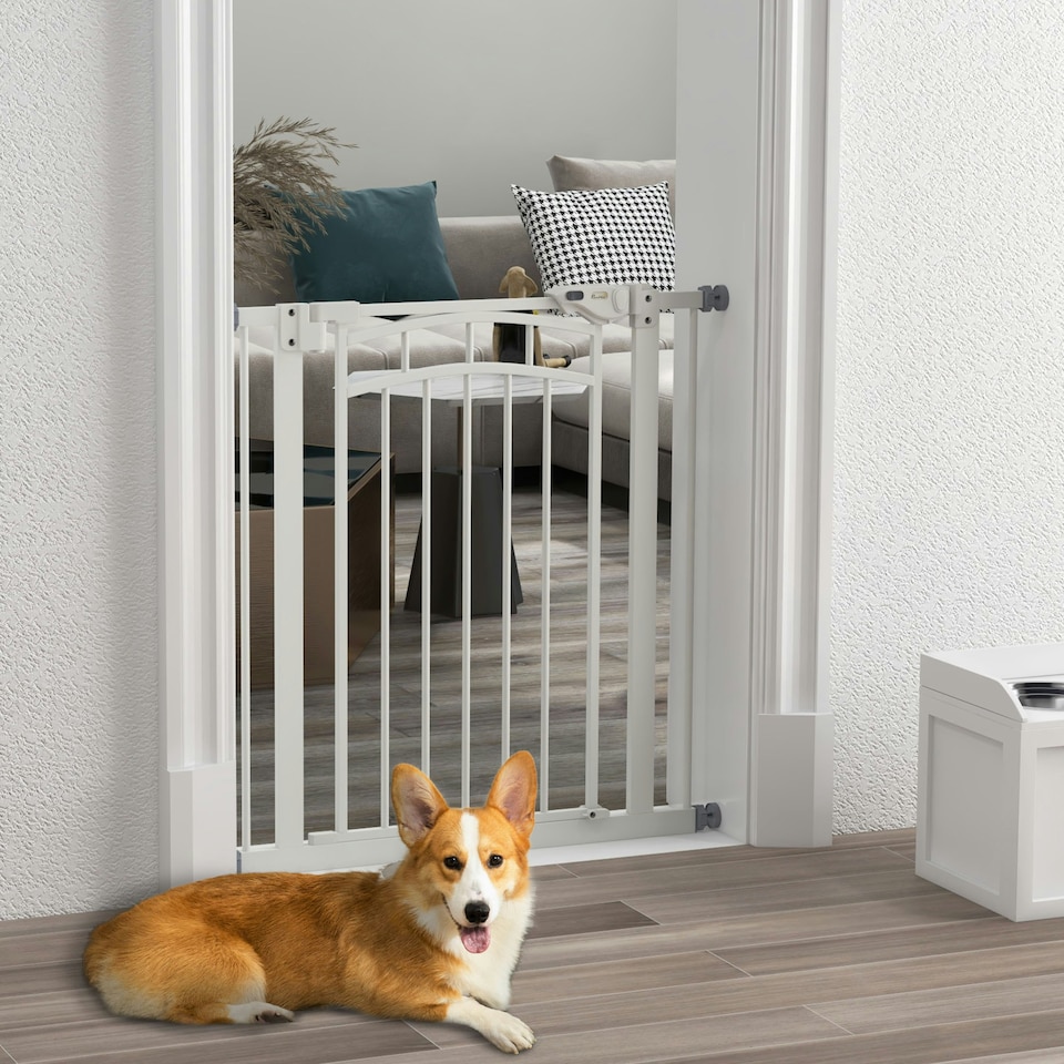 image 1 of Pressure Fit Safety Gate w/ Auto Closing Door, for Small, Medium Dogs, 74-80cm