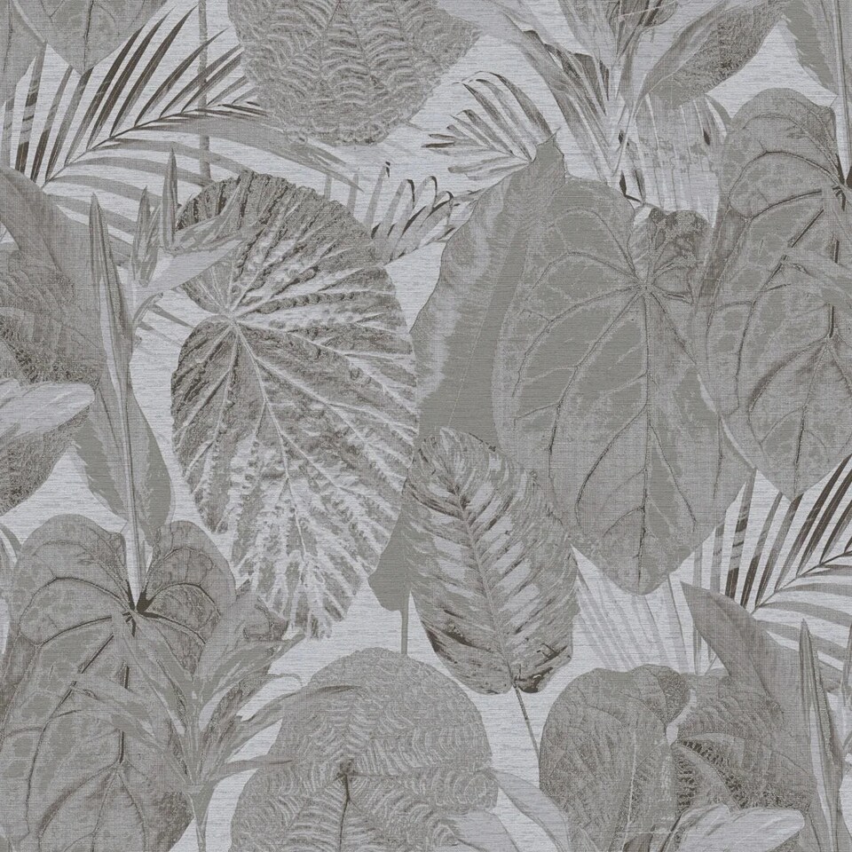 Sample of Exotic Oasis Wallpaper in Grey | Grey | Grey