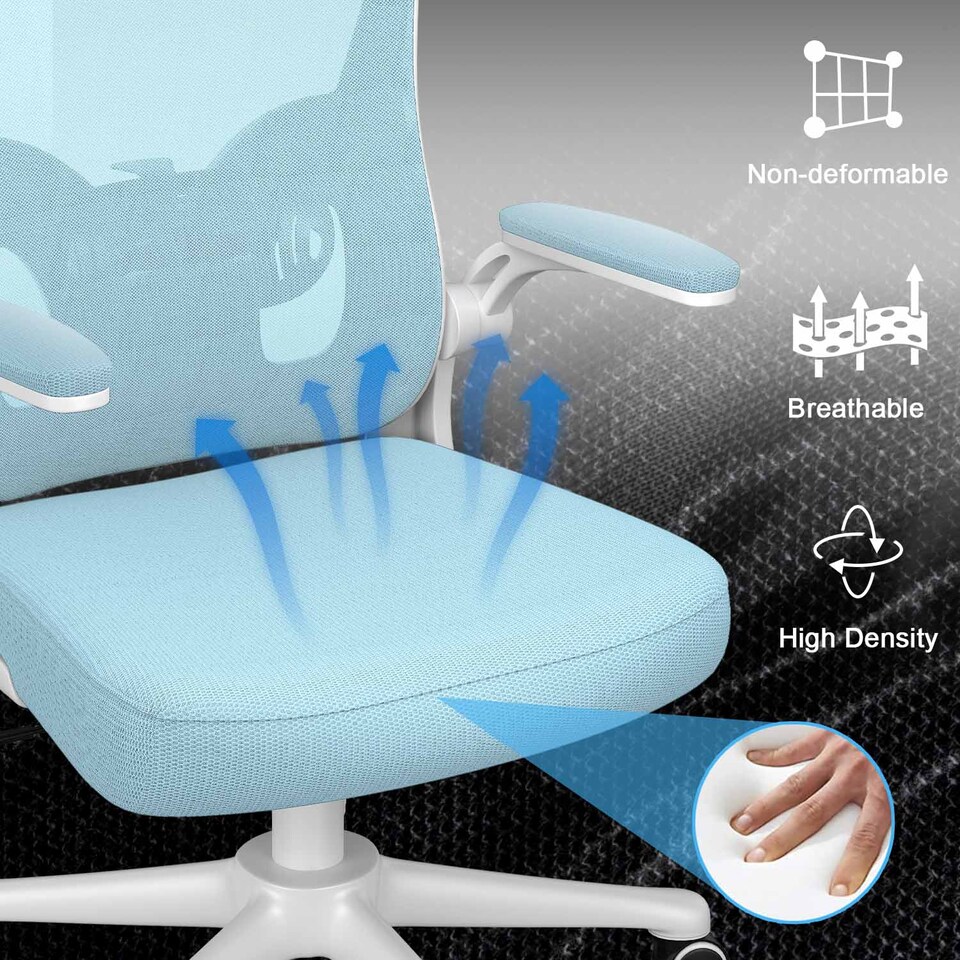 image 1 of Rattantree Ergonomic Office Chair With Headrest & Lumbar Support