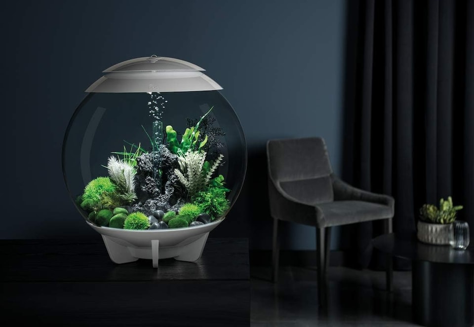 image 1 of biOrb Mistletoe Ball Aquarium Decoration Ornament