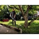 image 4 of Metabo Rtd 18 Ltx Bl 30 Line Trimmer 18v Bare Unit | Multi | Multi Colour | One Size | 1