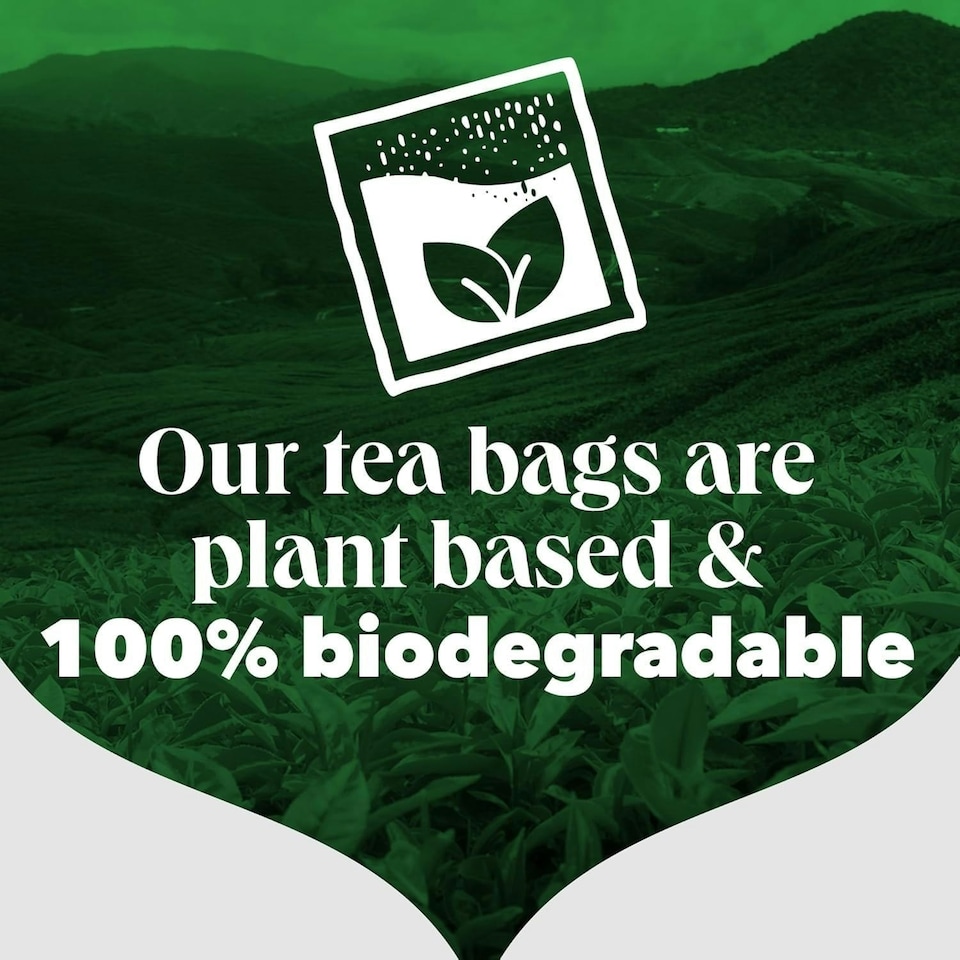 image 1 of PG Tips Original | Black Tea Bags Bulk | Refreshing, Flavourful & Full-bodied | 4 x 210 Tea Bags | 840 Plant Based Biodegradable Teabags 4