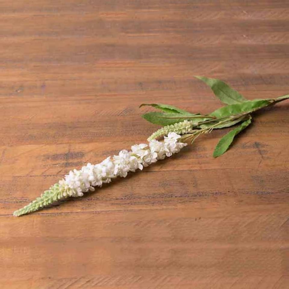 image 1 of Veronica Stem Artificial Plant - Plastic - L17 x W17 x H76 cm - White