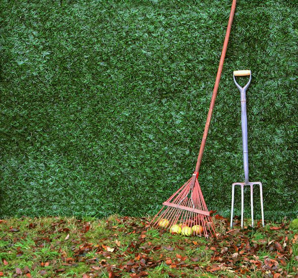 image 1 of Primrose Artificial Conifer Screening Roll Hedge Fence Privacy Border W3m x H1.5m