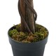 image 3 of Living and Home Lifelike Artificial Willow Tree 180cm Tall