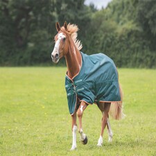 Shires Typhoon Lite Turnout Rug Green | Size: 7ft 0
Colour: Green