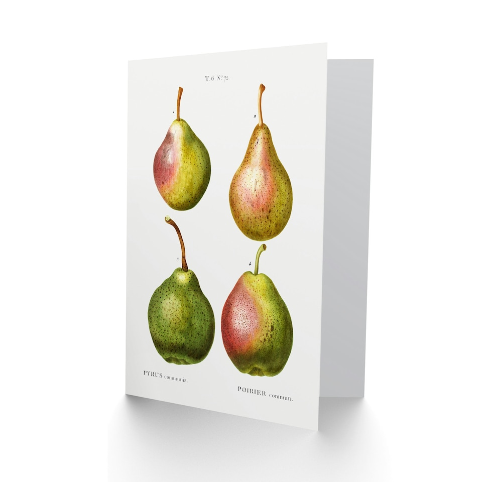 image 1 of Pierre-Joseph Redouté Art Card Pear Fruit Vintage Illustration
