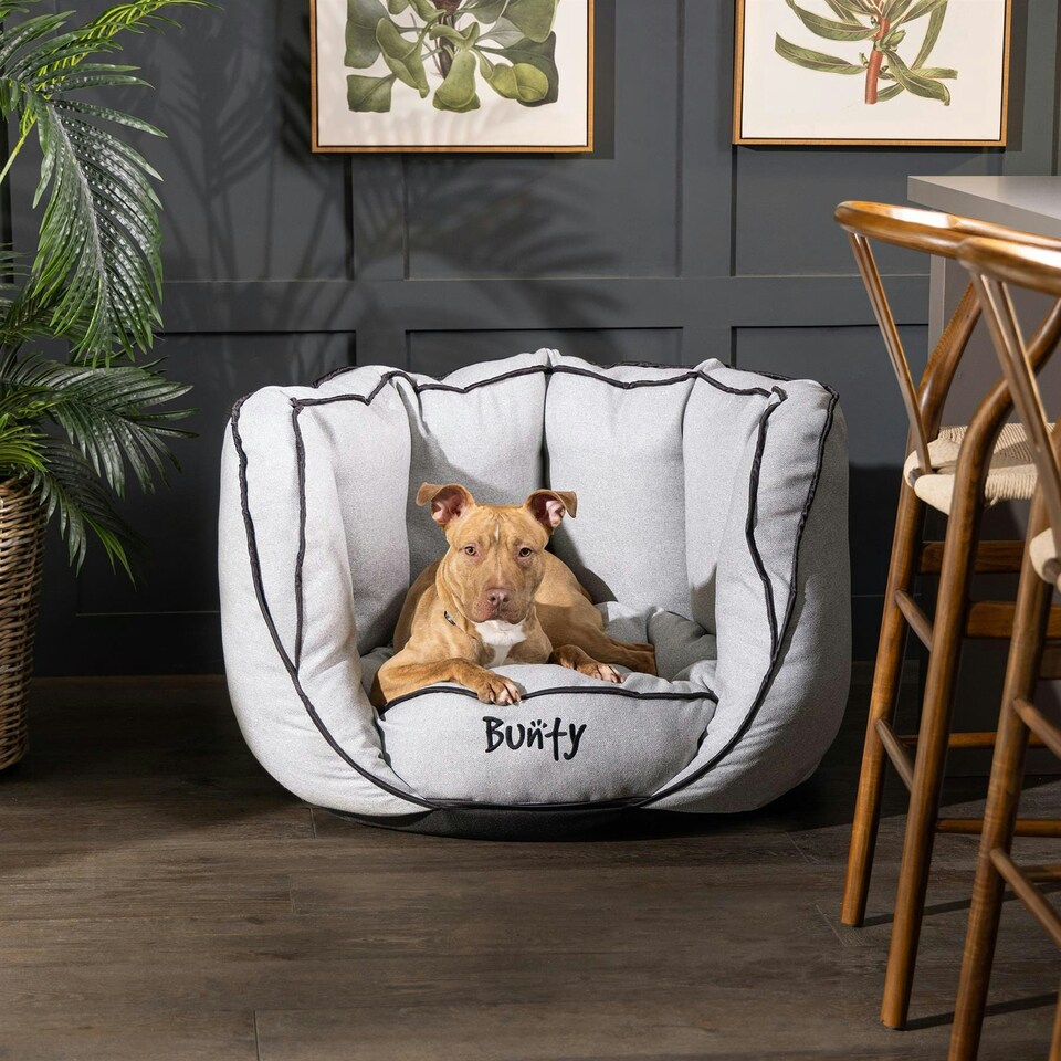 image 1 of Bunty Oyster Bed Grey | M