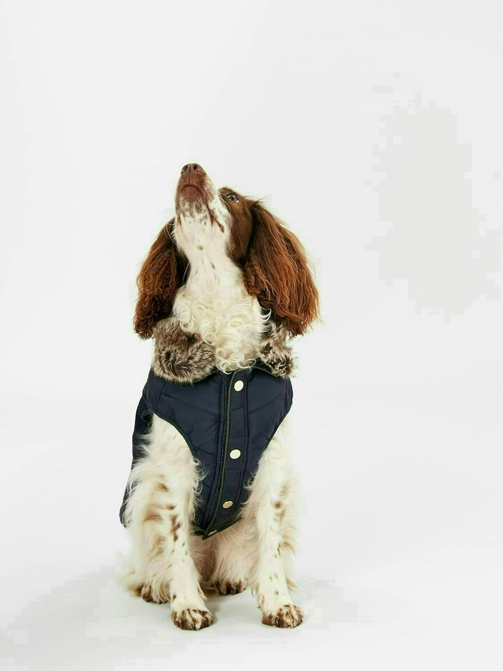 image 1 of Rosewood Joules Cherington Coat For Dogs - Large | Multi