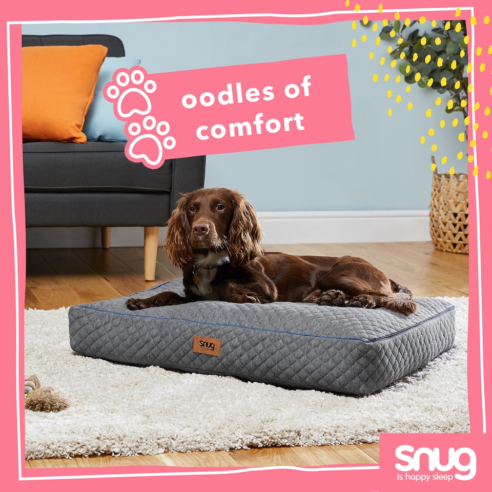 image 1 of Snug Furry Friends Pet Bed