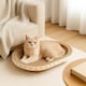 image 2 of Cat Scratcher Bed & Kitten Lounger - Durable Corrugated Cardboard Scratch Pad for Pets - For Furniture Protection & Healthy Claws