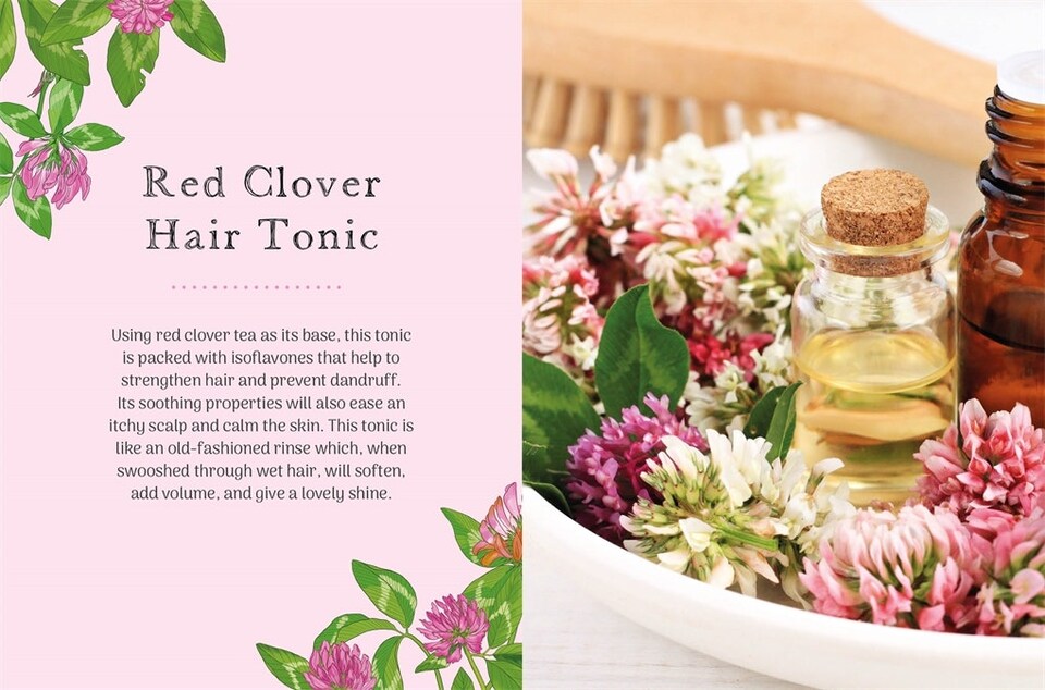 image 1 of The Little Wild Library: Clover