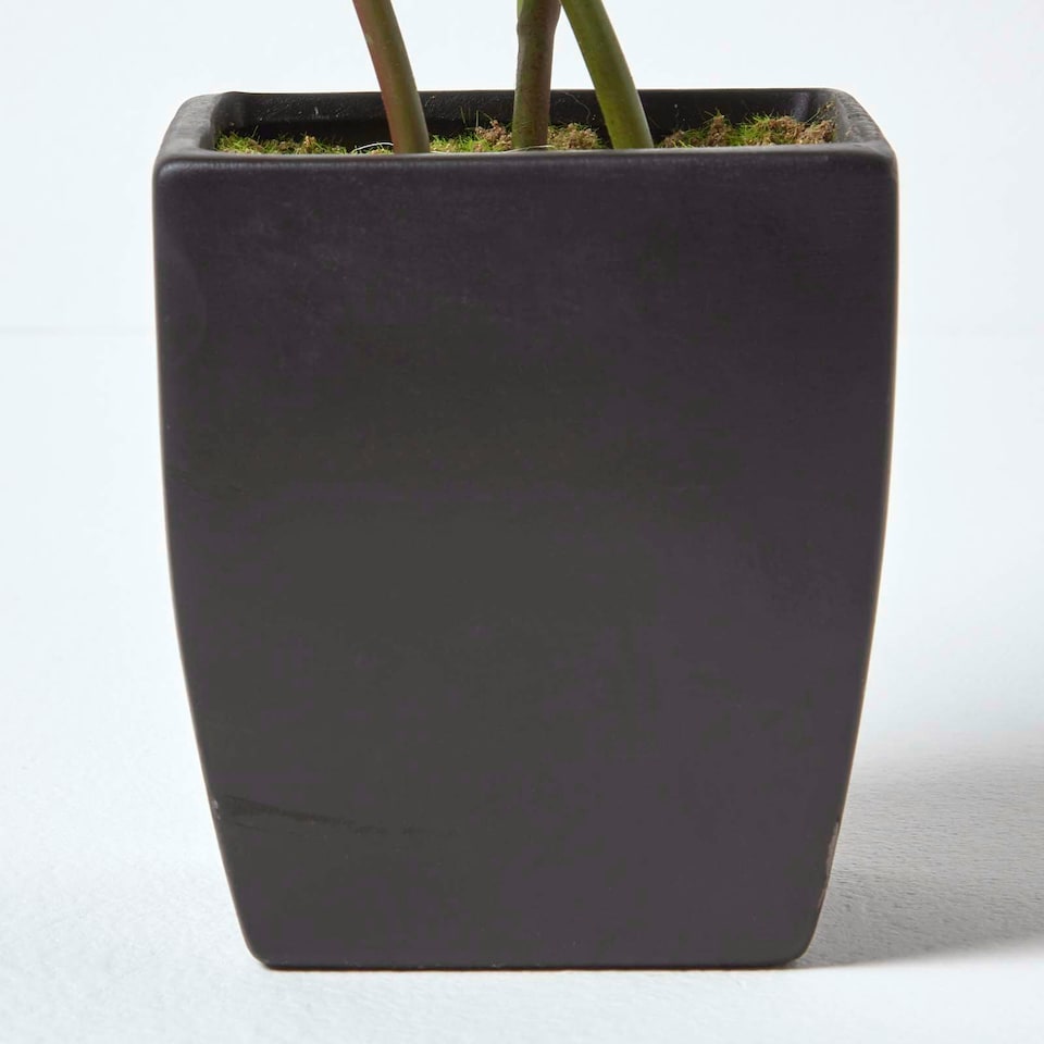 image 1 of Homescapes Pink Artificial Peonies in Decorative Black Pot, 48 cm Tall