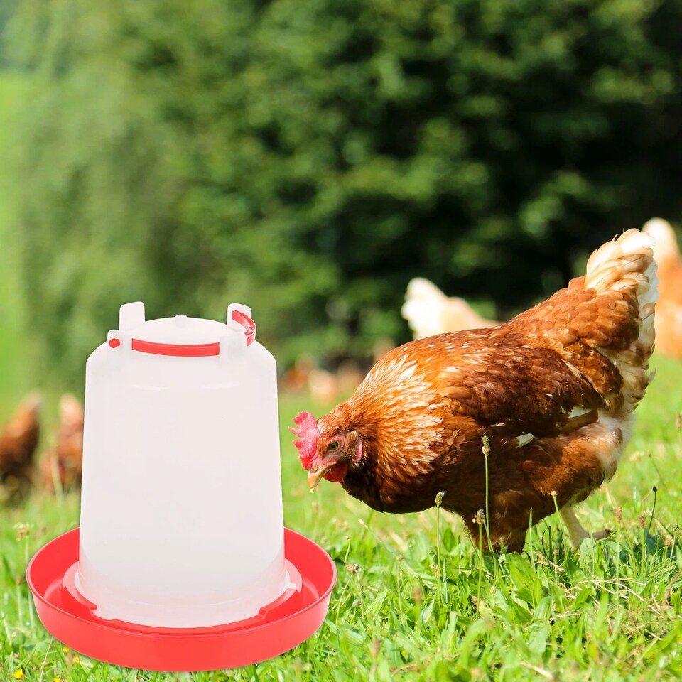 image 1 of 3L Chicken Drinker Feeder Poultry Quails Bird Hen Duck Water Large Red with Handle