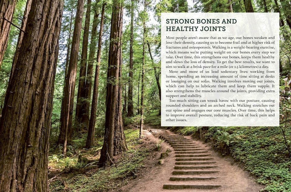 image 1 of Walking for Mind, Body and Soul