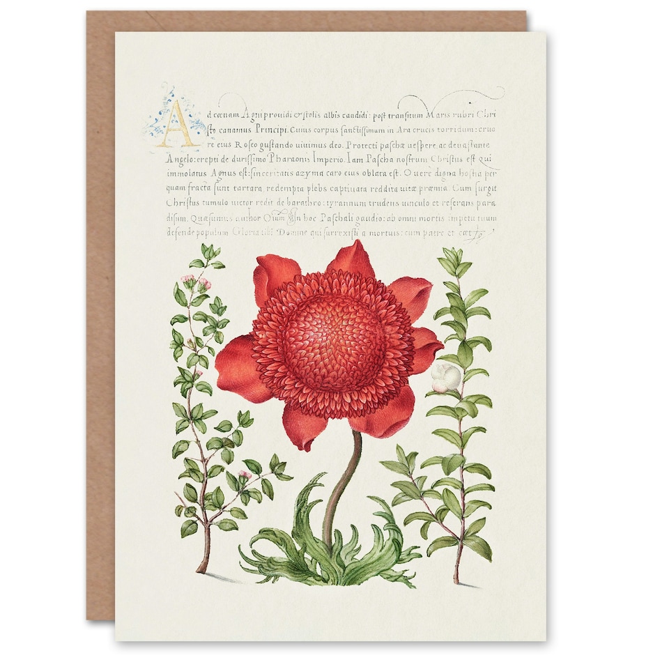 image 1 of Model Book of Calligraphy Art Card Poppy Anemone and Myrtle