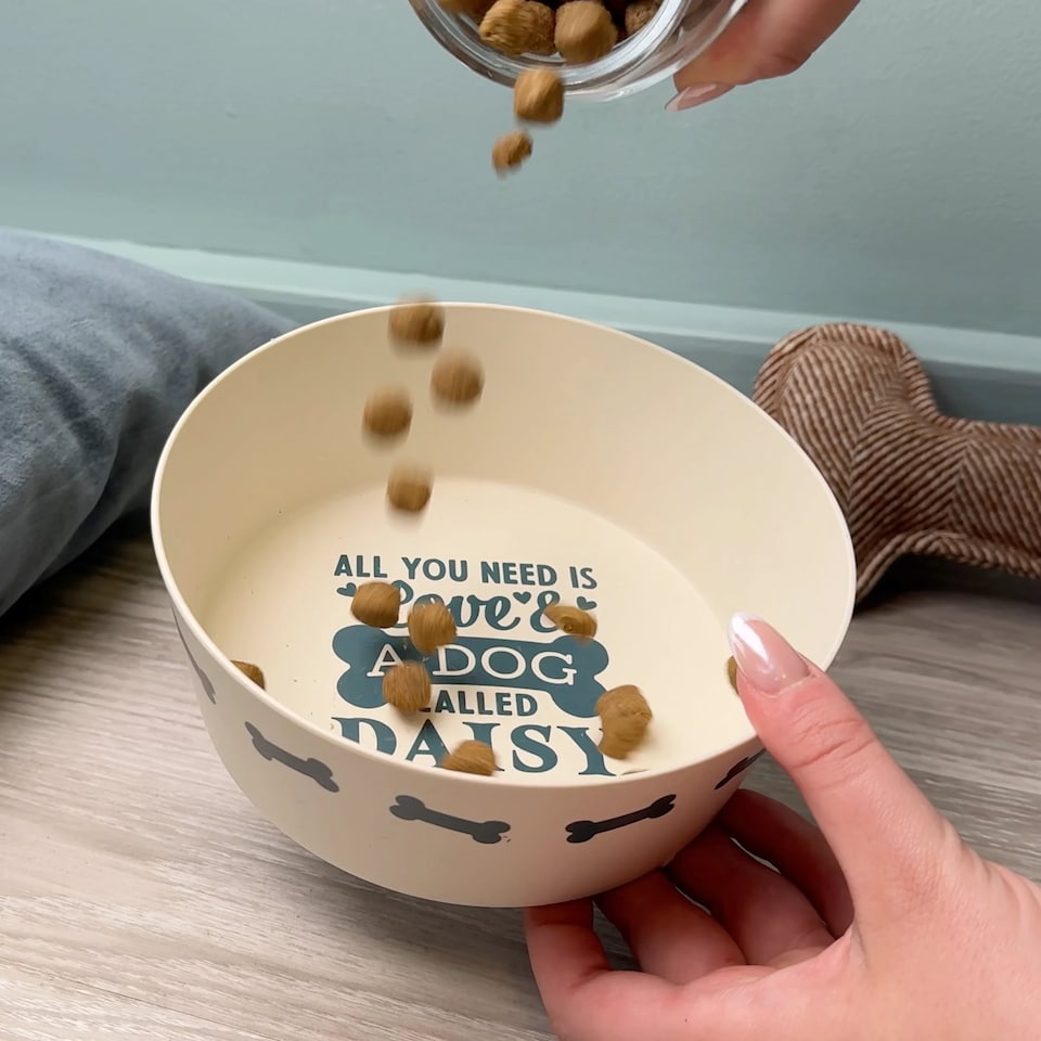 image 1 of Pre-personalised Dog Bowl Featuring Popular Names, Breeds and Captions - Barney - Over 60 Titles Available