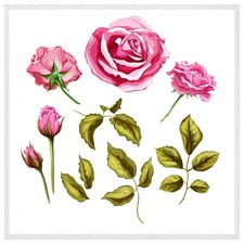 Roses & leaves (Picutre Frame) White | M