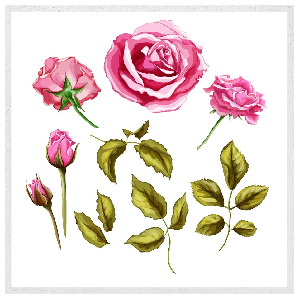 image 1 of Roses & leaves (Picutre Frame) White | M