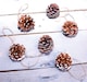 image 4 of St Helens White Tipped Hanging Pinecone - Set Of 6