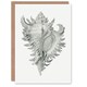 image 1 of Ernst Haeckel Art Card Whelk Sea Snail Shell Drawing