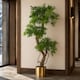 image 6 of 140cm Realistic Artificial Japanese Fruticosa Tree Ficus Tree Gold Metal Brushed Brass Planter | Green | 4ft
