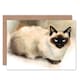 image 1 of Cat Lover Ragdoll Portrait Watercolour Painting Animal Greeting Card