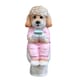 image 1 of Gifts Direct 2 U Cockapoo Dog On The Toilet Ornament Pink
