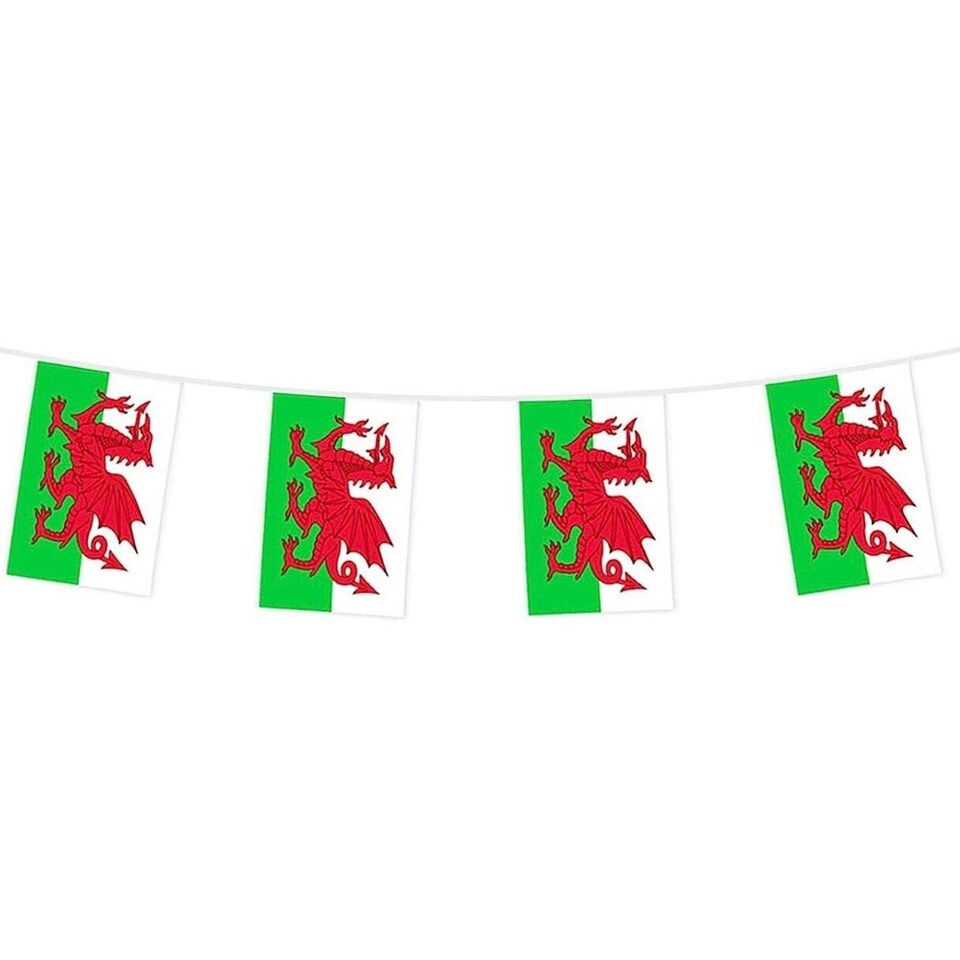 image 1 of Wales Flag Party Bunting 10m with 20 Flags