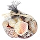 image 2 of Something Different Shells In Net - Multicoloured - 350grams