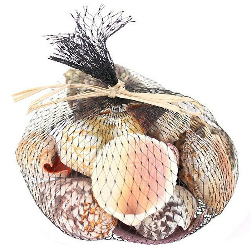 image 1 of Something Different Shells In Net - Multicoloured - 350grams
