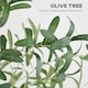 image 5 of HOMCOM 180cm Olive Tree Light w/ 300 Warm White LED Lights Artificial Tree